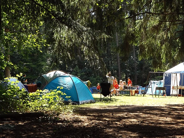 5 Fun Activities to Do While Camping With Your Family